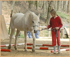Führen über Stangen